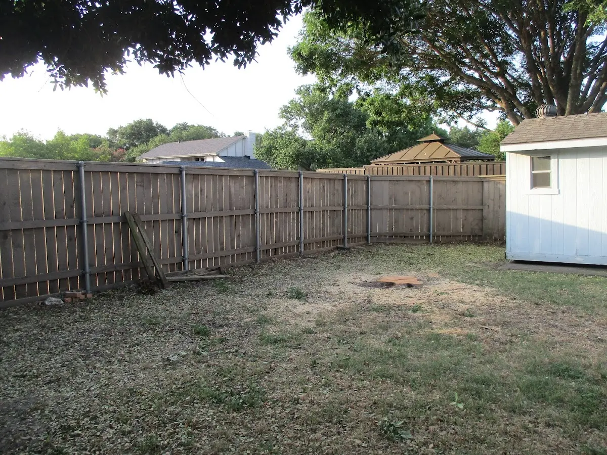 Cleared yard after professional tree removal in Somers